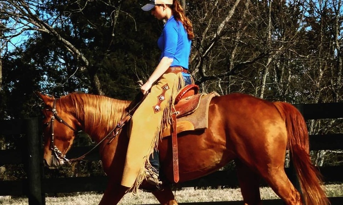Copperhead Horse
